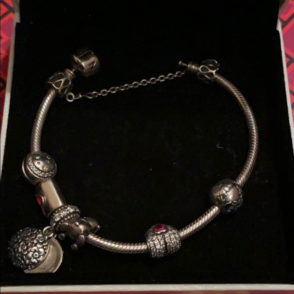 Pandora Bracelet ✨❤️ I only wore a few times